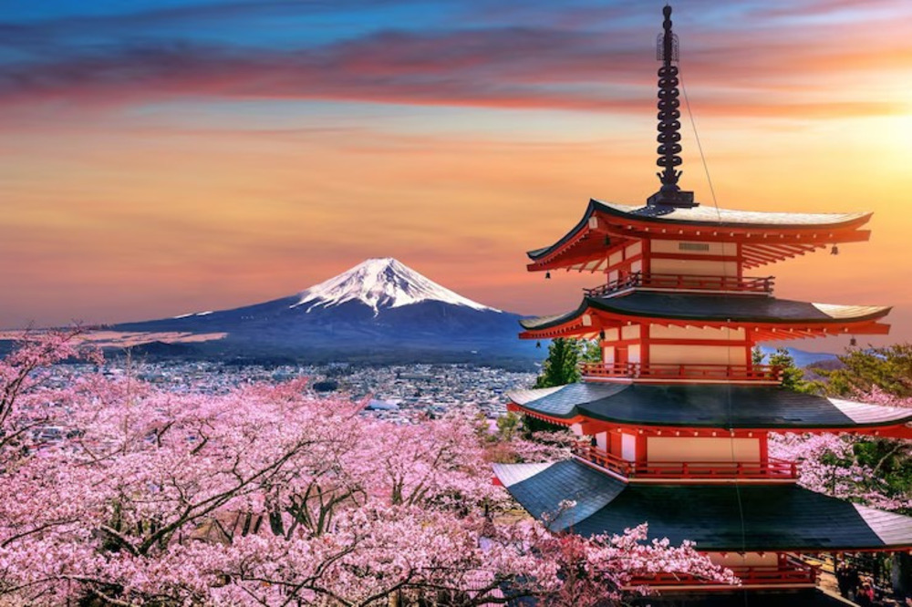 Company incentive trip to Japan for employee rewards.