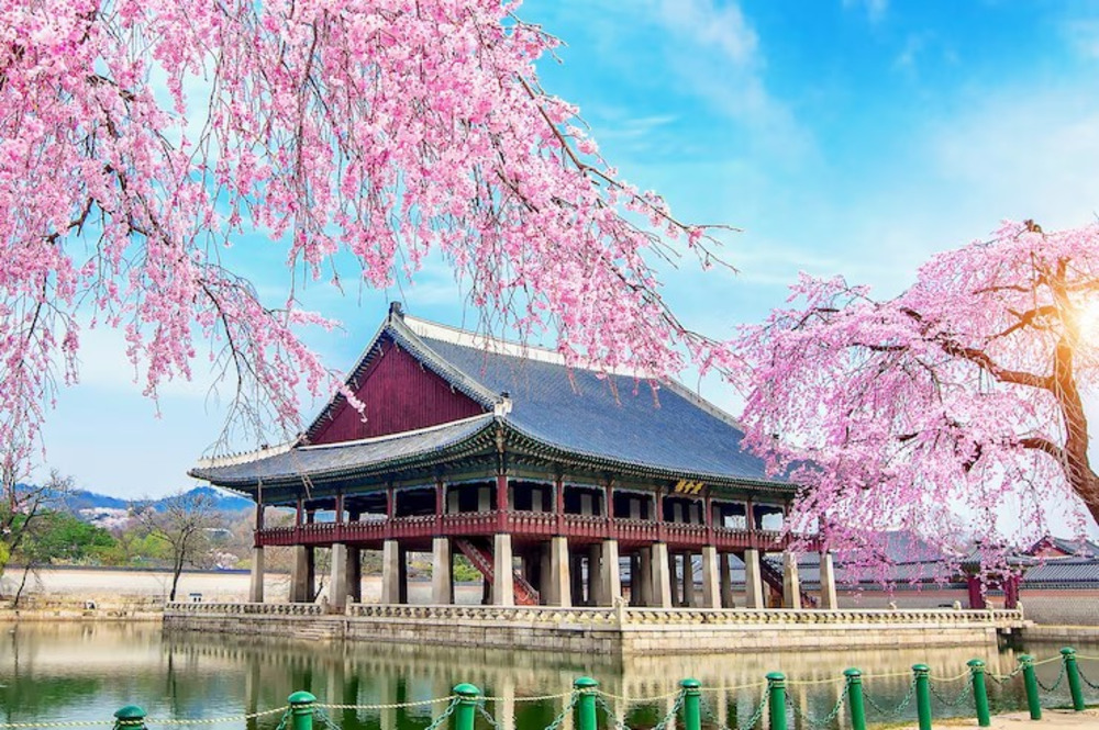 Incentive trips for employees in Korea with city and culture.